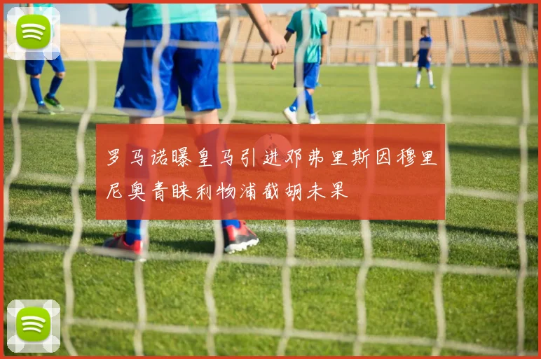 罗马诺曝皇马引进邓弗里斯因穆里尼奥青睐利物浦截胡未果